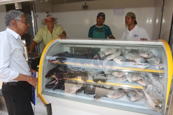 Peixe Santo começa hoje. Novidade deste ano será a comercialização do pintadinho da Amazônia